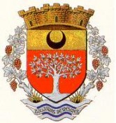 http://www.ville-bougival.fr/